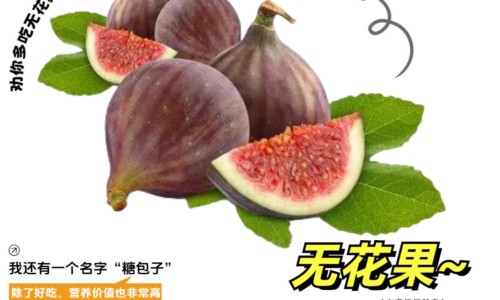 百毒康的功效与作用及禁忌-【百毒康的功效说明书】百毒康是治什么病的 - 百毒康的功效与作用网