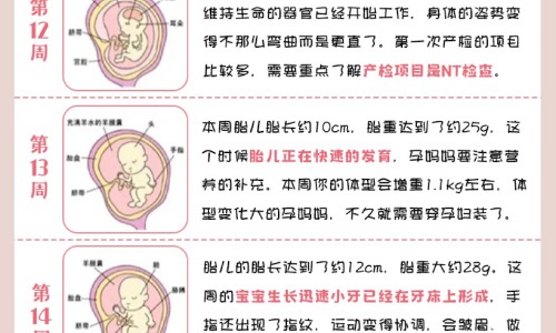 【百毒康的功效说明书】百毒康是治什么病的 - 百毒康的功效与作用网