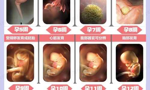 百毒康功能主治-【百毒康的功效说明书】百毒康是治什么病的 - 百毒康的功效与作用网