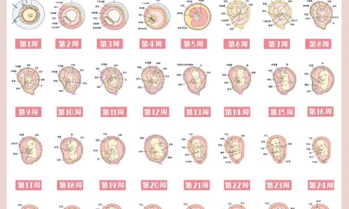 【百毒康的功效说明书】百毒康是治什么病的 - 百毒康的功效与作用网
