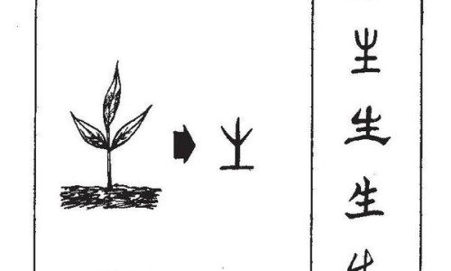 百毒康的功效与作用及禁忌-【百毒康的功效说明书】百毒康是治什么病的 - 百毒康的功效与作用网